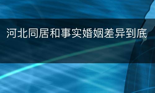 河北同居和事实婚姻差异到底