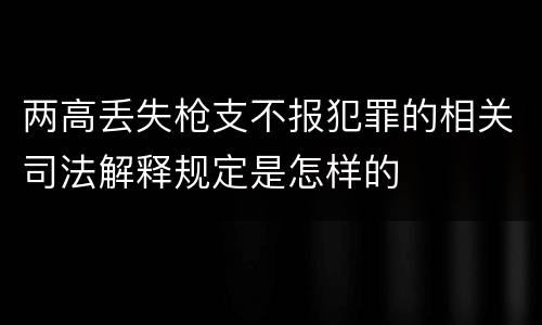 两高丢失枪支不报犯罪的相关司法解释规定是怎样的