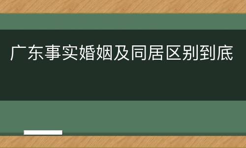 广东事实婚姻及同居区别到底