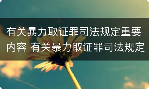 有关暴力取证罪司法规定重要内容 有关暴力取证罪司法规定重要内容有哪些