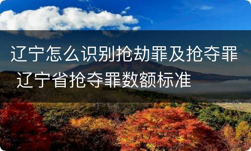 辽宁怎么识别抢劫罪及抢夺罪 辽宁省抢夺罪数额标准