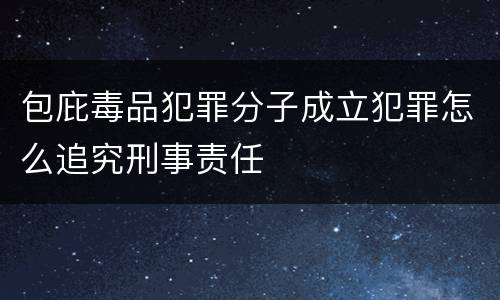 包庇毒品犯罪分子成立犯罪怎么追究刑事责任