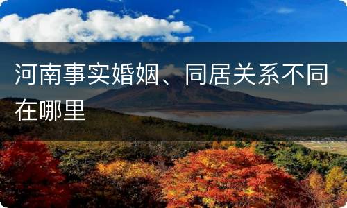 河南事实婚姻、同居关系不同在哪里