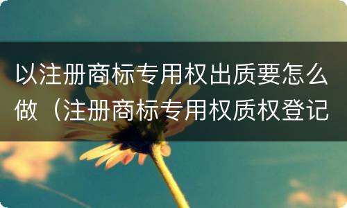 以注册商标专用权出质要怎么做（注册商标专用权质权登记程序规定）