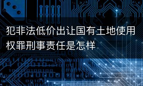 犯非法低价出让国有土地使用权罪刑事责任是怎样