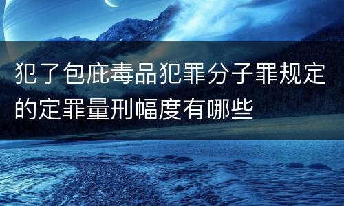 犯了包庇毒品犯罪分子罪规定的定罪量刑幅度有哪些