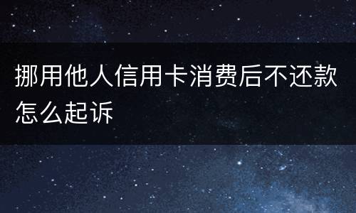 挪用他人信用卡消费后不还款怎么起诉