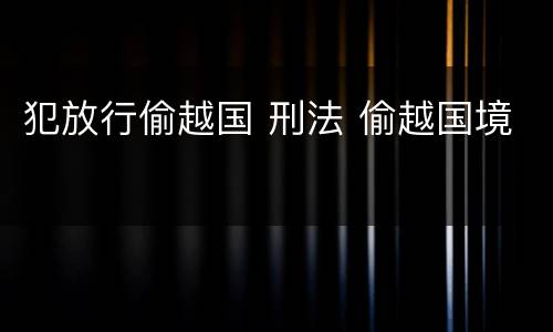 犯放行偷越国 刑法 偷越国境