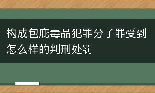 构成包庇毒品犯罪分子罪受到怎么样的判刑处罚