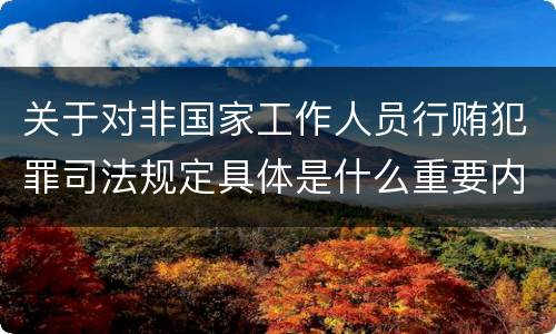 关于对非国家工作人员行贿犯罪司法规定具体是什么重要内容