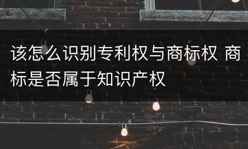 该怎么识别专利权与商标权 商标是否属于知识产权