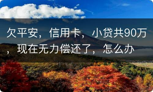 欠平安，信用卡，小贷共90万，现在无力偿还了，怎么办