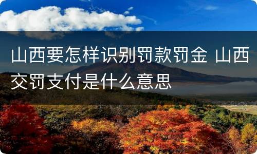 山西要怎样识别罚款罚金 山西交罚支付是什么意思