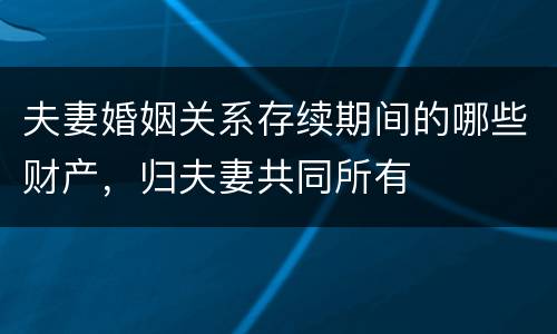 夫妻婚姻关系存续期间的哪些财产，归夫妻共同所有