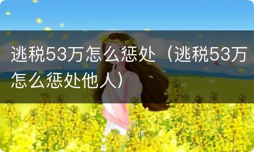 逃税53万怎么惩处（逃税53万怎么惩处他人）