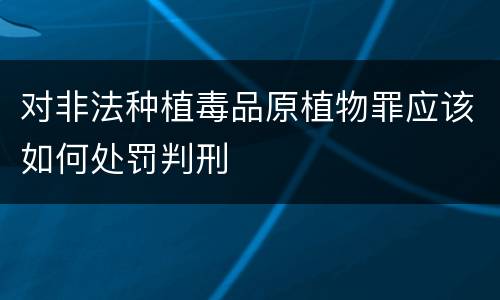 对非法种植毒品原植物罪应该如何处罚判刑