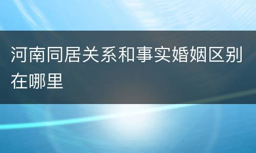 河南同居关系和事实婚姻区别在哪里