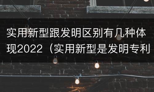 实用新型跟发明区别有几种体现2022（实用新型是发明专利吗）