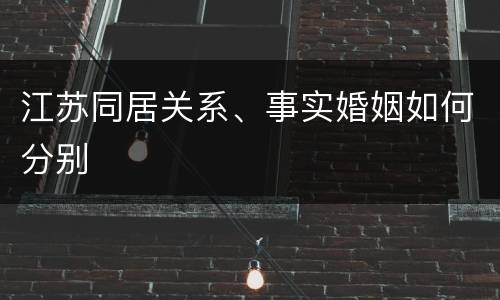 江苏同居关系、事实婚姻如何分别