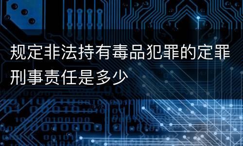 规定非法持有毒品犯罪的定罪刑事责任是多少