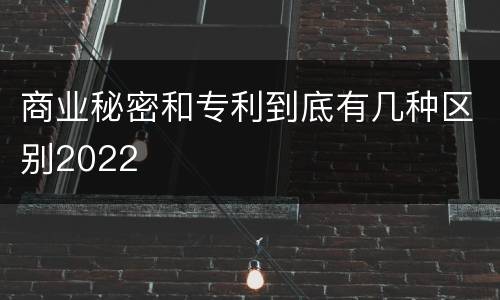 商业秘密和专利到底有几种区别2022