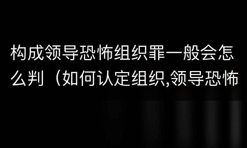 构成领导恐怖组织罪一般会怎么判（如何认定组织,领导恐怖组织罪）