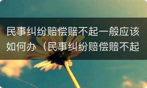 民事纠纷赔偿赔不起一般应该如何办（民事纠纷赔偿赔不起一般应该如何办理）