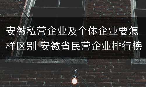 安徽私营企业及个体企业要怎样区别 安徽省民营企业排行榜