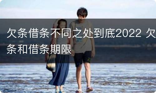 欠条借条不同之处到底2022 欠条和借条期限