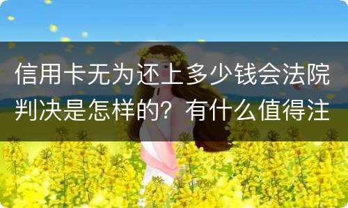 信用卡无为还上多少钱会法院判决是怎样的？有什么值得注意的