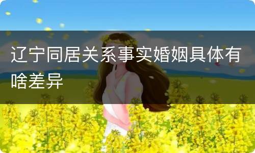 辽宁同居关系事实婚姻具体有啥差异