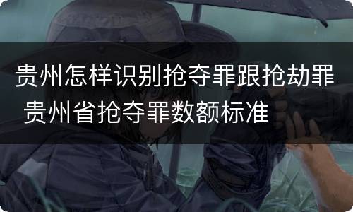 贵州怎样识别抢夺罪跟抢劫罪 贵州省抢夺罪数额标准