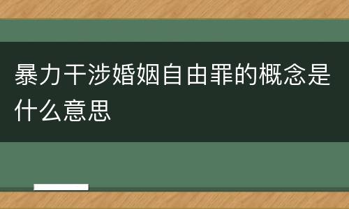 暴力干涉婚姻自由罪的概念是什么意思