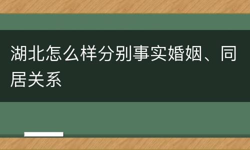 湖北怎么样分别事实婚姻、同居关系