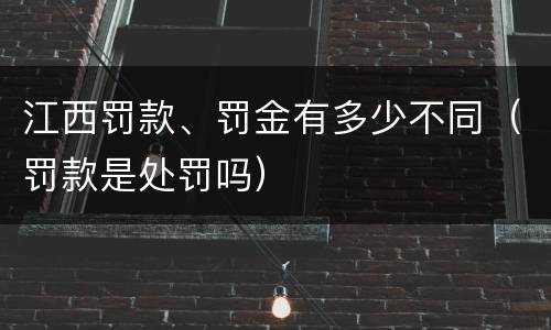 江西罚款、罚金有多少不同（罚款是处罚吗）