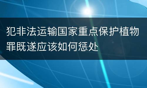 犯非法运输国家重点保护植物罪既遂应该如何惩处