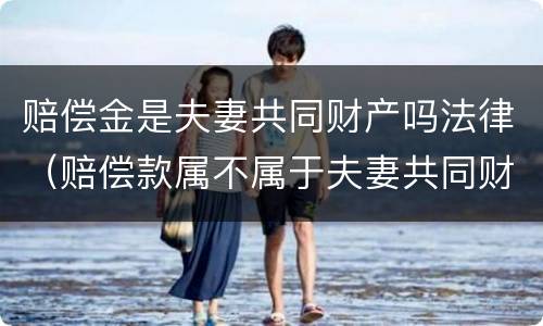 赔偿金是夫妻共同财产吗法律（赔偿款属不属于夫妻共同财产）