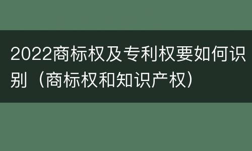 2022商标权及专利权要如何识别（商标权和知识产权）