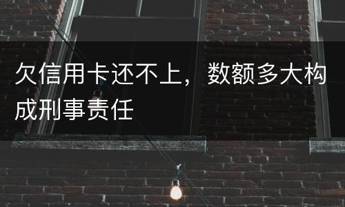 欠信用卡还不上，数额多大构成刑事责任