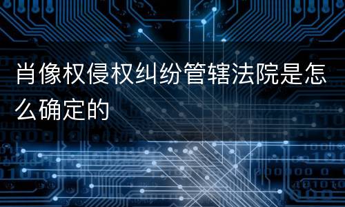 肖像权侵权纠纷管辖法院是怎么确定的