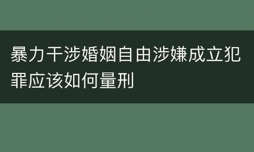 暴力干涉婚姻自由涉嫌成立犯罪应该如何量刑