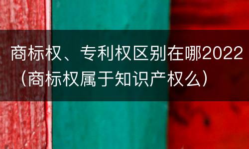 商标权、专利权区别在哪2022（商标权属于知识产权么）