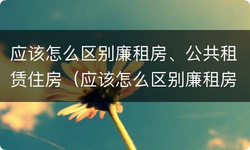 应该怎么区别廉租房、公共租赁住房（应该怎么区别廉租房,公共租赁住房和商品房）