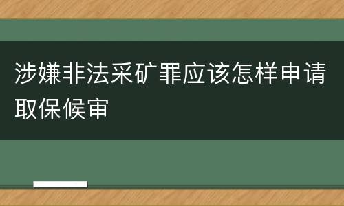 涉嫌非法采矿罪应该怎样申请取保候审