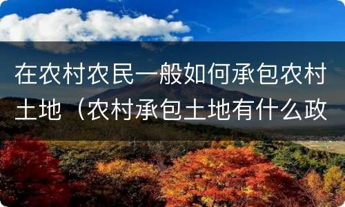 在农村农民一般如何承包农村土地（农村承包土地有什么政策）