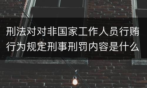 刑法对对非国家工作人员行贿行为规定刑事刑罚内容是什么样