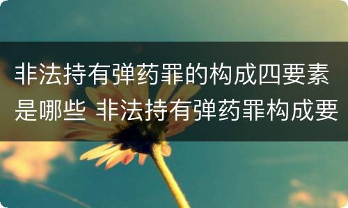 非法持有弹药罪的构成四要素是哪些 非法持有弹药罪构成要件