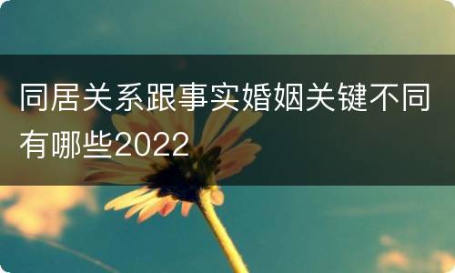 同居关系跟事实婚姻关键不同有哪些2022