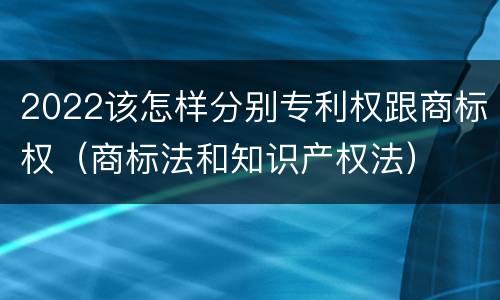 2022该怎样分别专利权跟商标权（商标法和知识产权法）