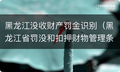 黑龙江没收财产罚金识别（黑龙江省罚没和扣押财物管理条例）